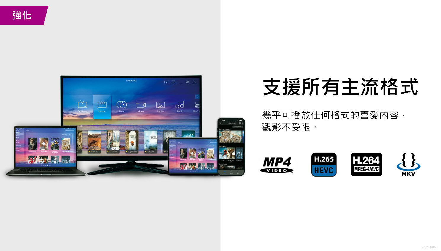 強化 支援所有主流格式